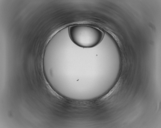 X0000111191417200907010959
