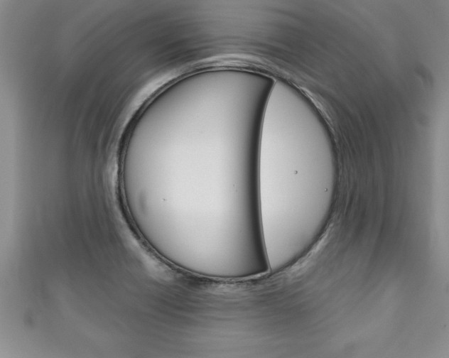X0000111191418200907010959