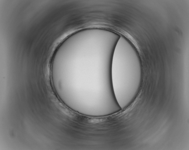 X0000111191419200907010959