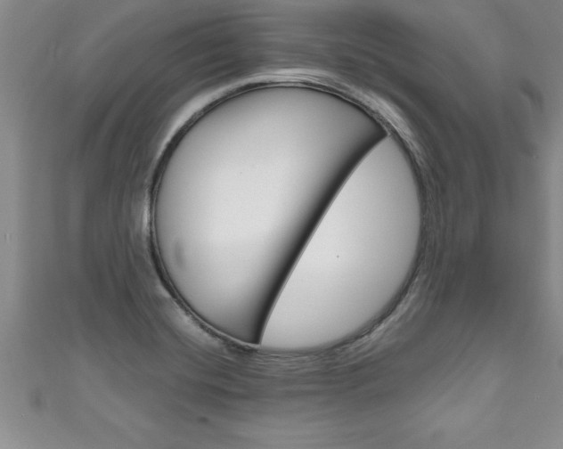 X0000111191420200907010959