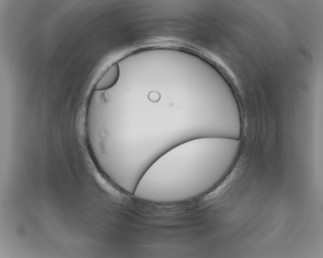 X0000111191421200907010959