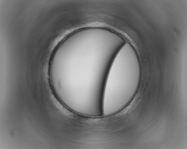 X0000111191422200907010959
