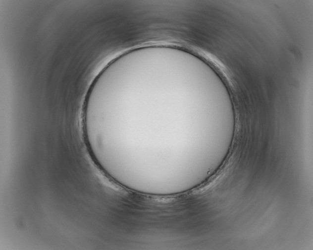 X0000111191423200907010959