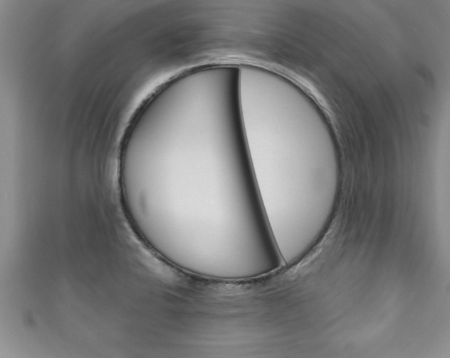 X0000111191424200907010959