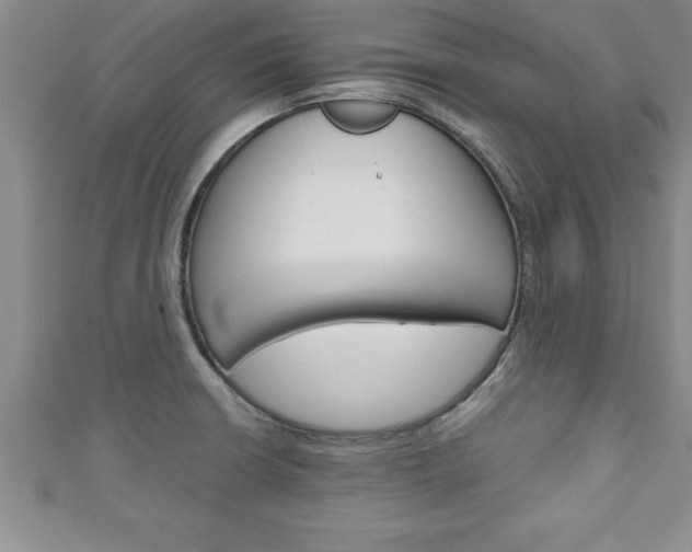 X0000111191426200907010959