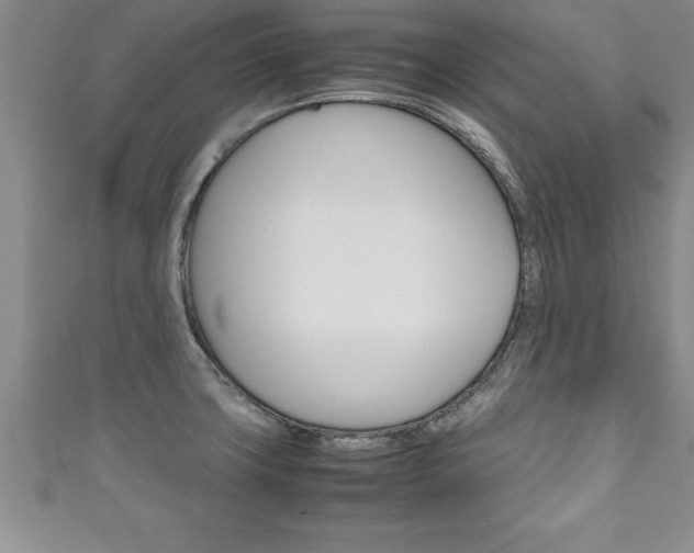 X0000111191427200907011000