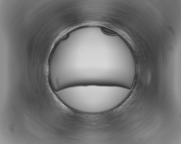 X0000111191428200907011000