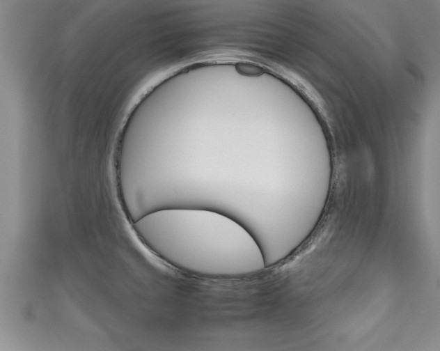 X0000111191429200907011000