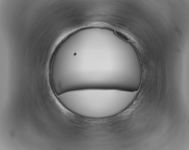 X0000111191430200907011000
