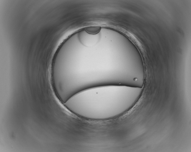 X0000111191432200907011000