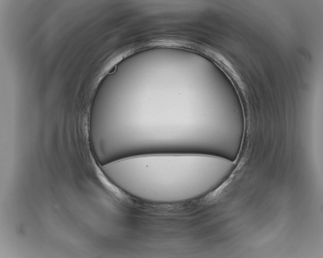X0000111191433200907011000