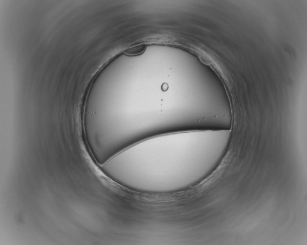X0000111191434200907011000
