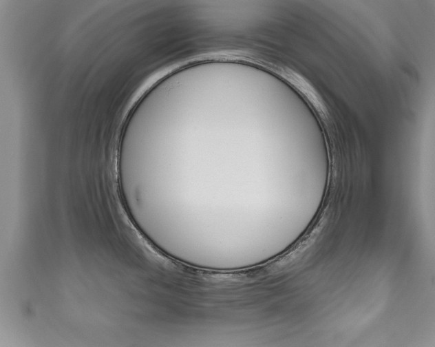 X0000111191436200907011000