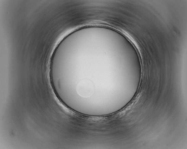 X0000111191437200907011000