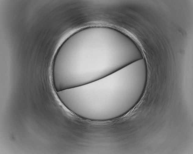 X0000111191440200907011000