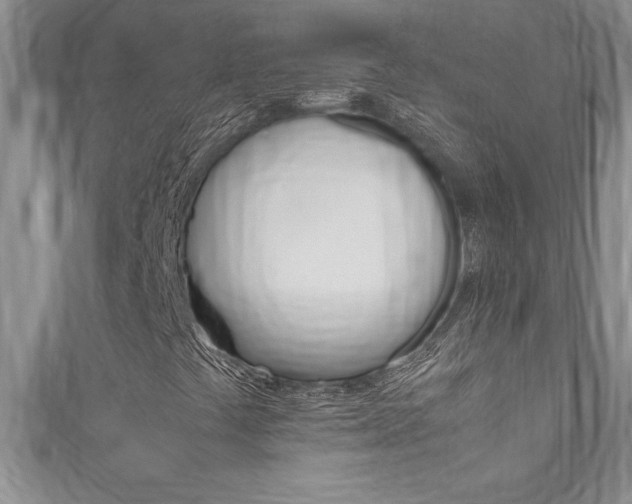 X0000111191441200907010959