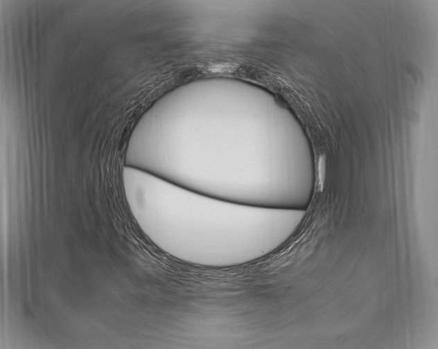 X0000111191443200907010959
