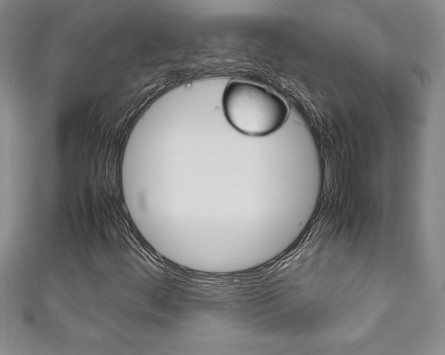 X0000111191444200907010959