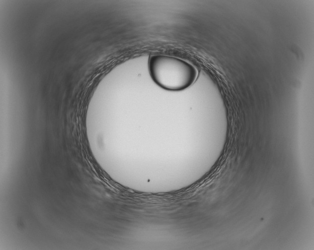 X0000111191445200907010959