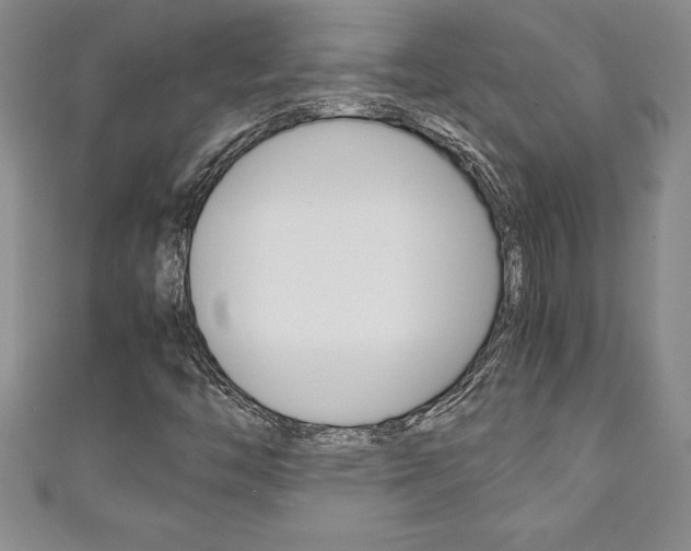 X0000111191446200907010959