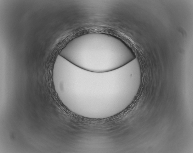X0000111191447200907010959