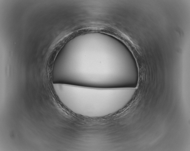 X0000111191448200907010959
