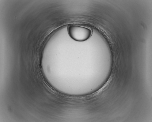X0000111191449200907010959