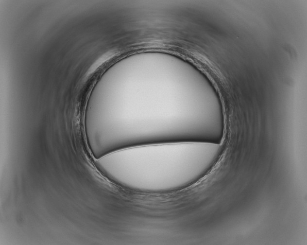 X0000111191450200907010959