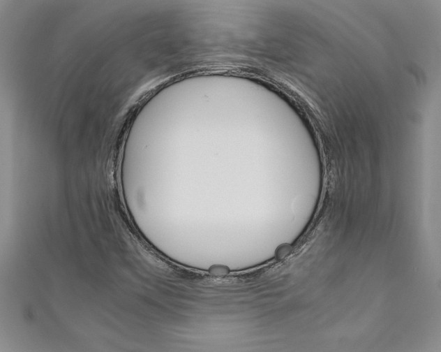 X0000111191451200907010959