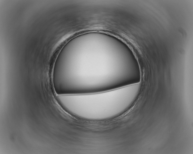 X0000111191452200907010959