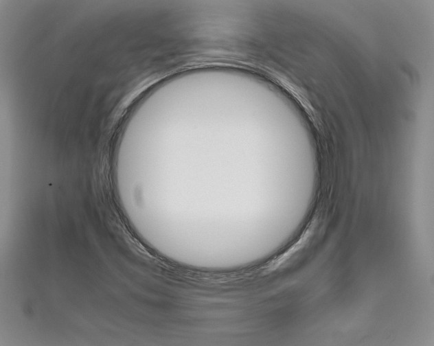 X0000111191453200907010959