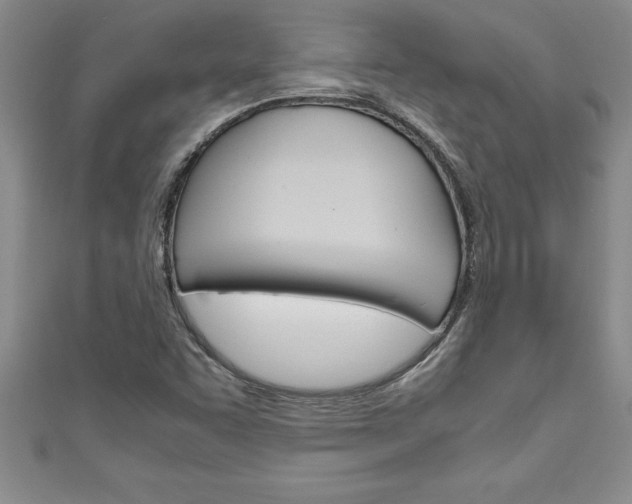 X0000111191455200907010959