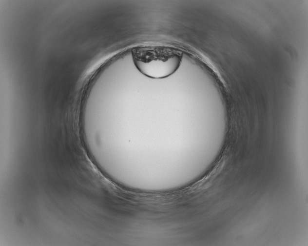 X0000111191456200907010959