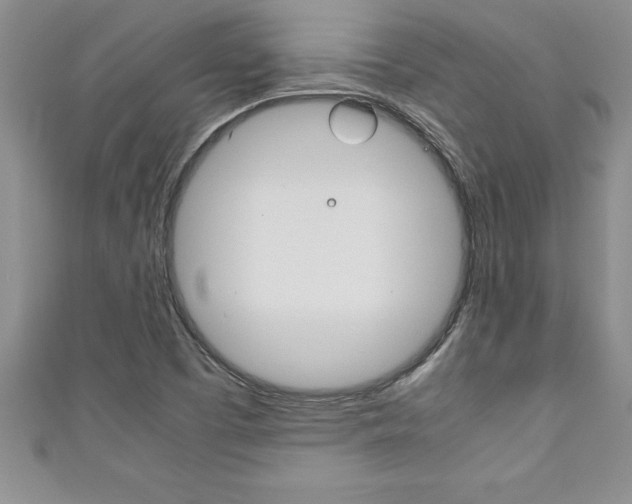 X0000111191457200907010959