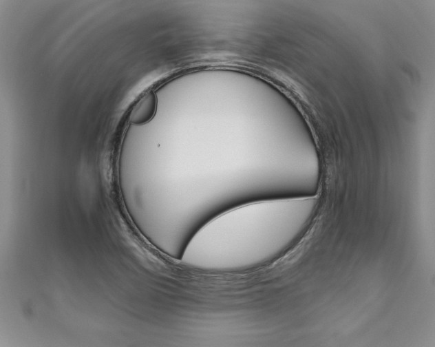 X0000111191458200907010959