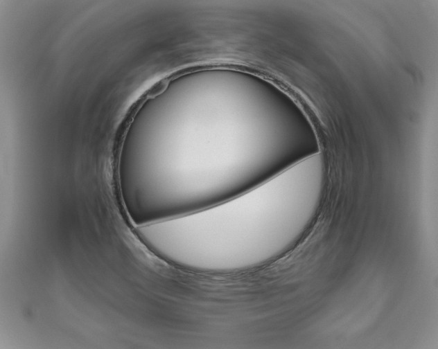 X0000111191460200907010959