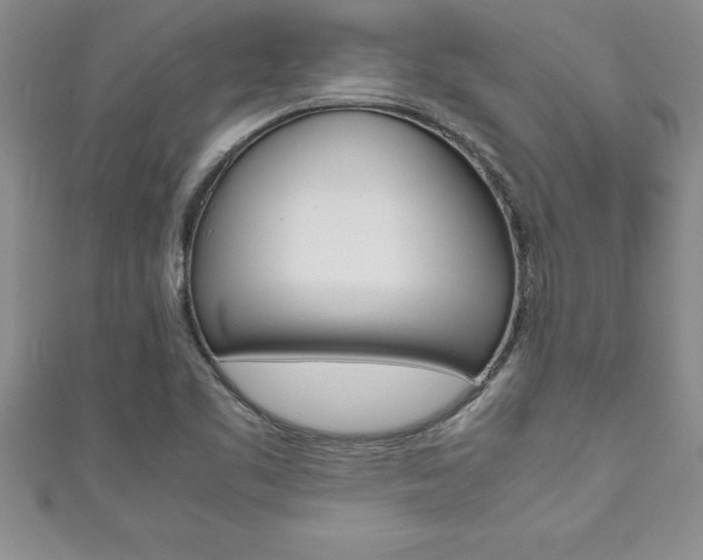 X0000111191461200907010959