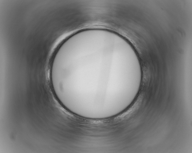 X0000111191462200907010959