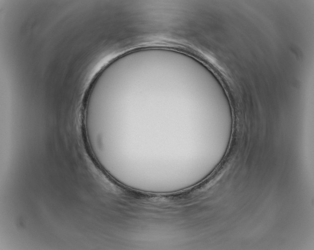 X0000111191463200907010959
