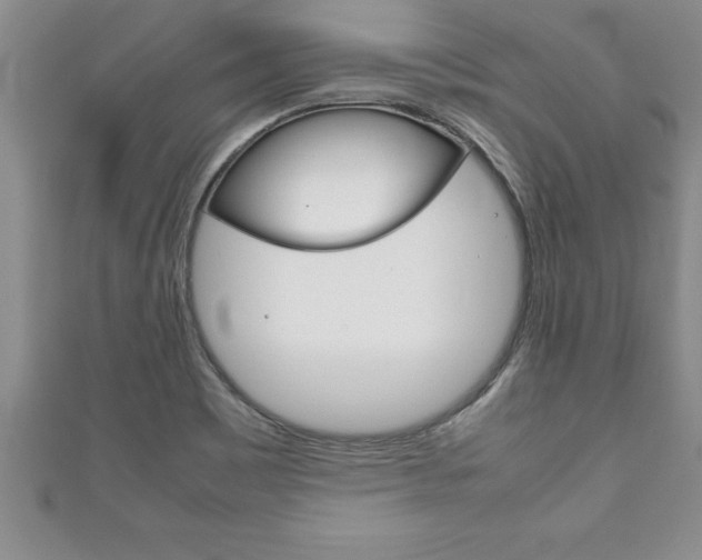 X0000111191465200907010959