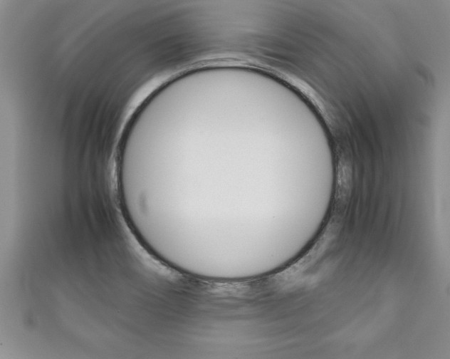 X0000111191466200907010959