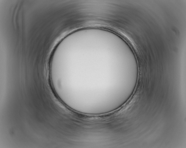 X0000111191467200907010959
