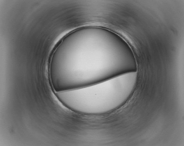 X0000111191468200907010959