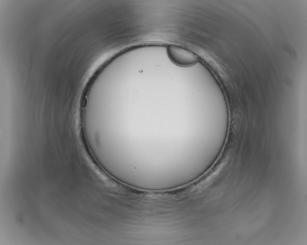 X0000111191469200907010959