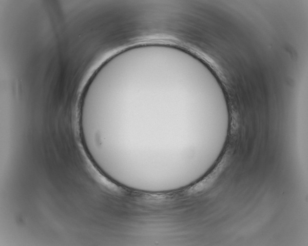 X0000111191470200907010959