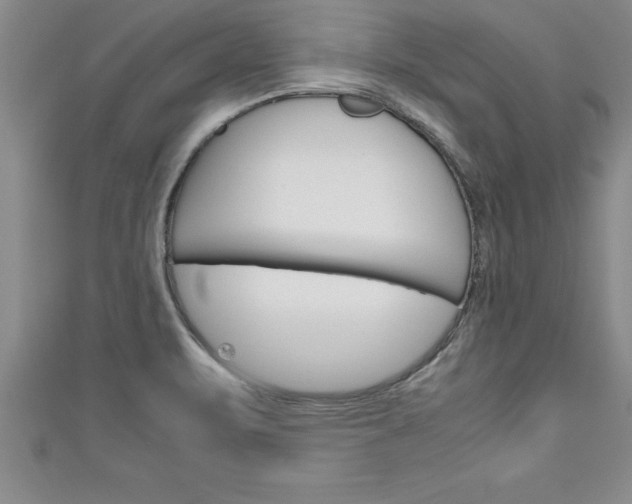 X0000111191471200907010959