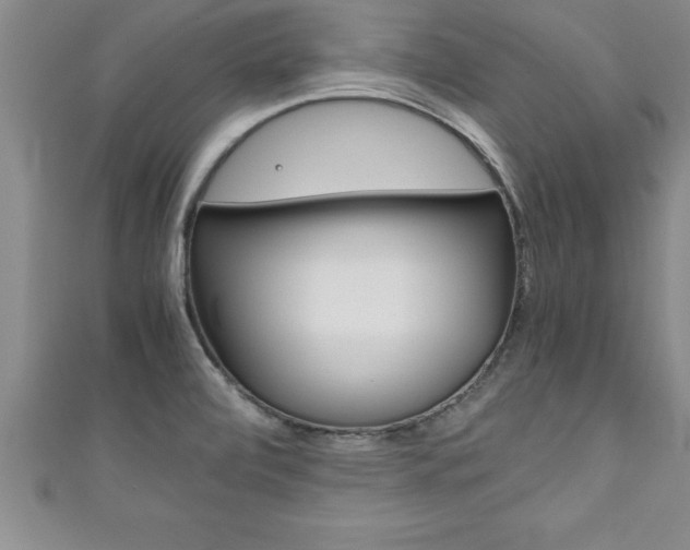 X0000111191472200907010959