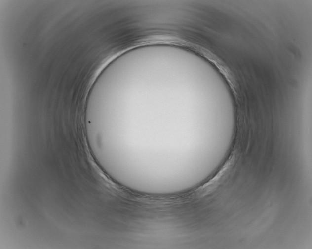X0000111191473200907010959