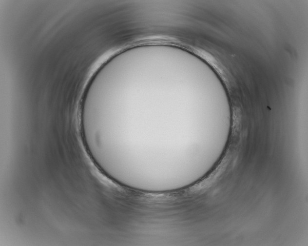 X0000111191474200907010959