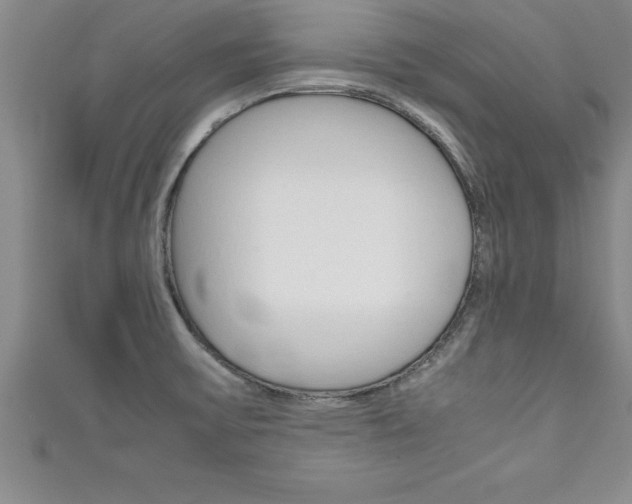 X0000111191475200907010959